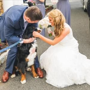 Meet your Posher, Kerri