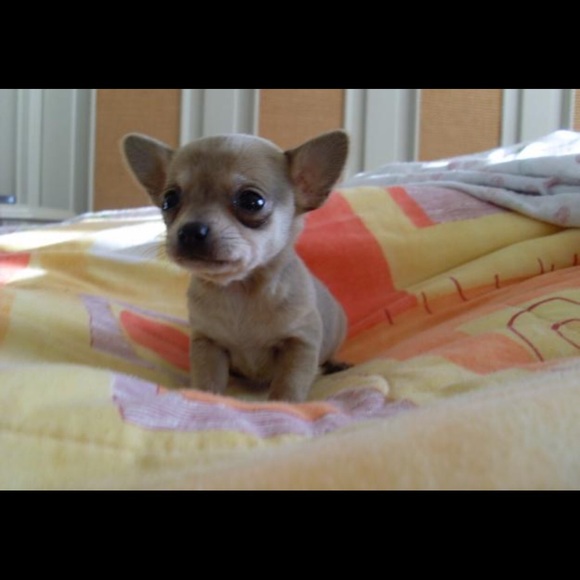 Meet your Posher, Briana