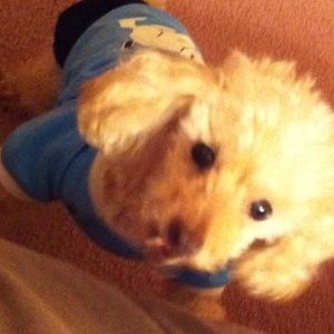 Meet your Posher, Eumy