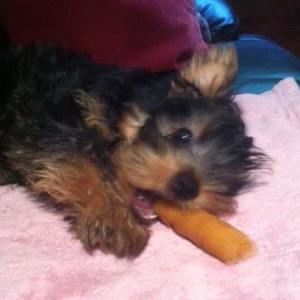 Meet your Posher, Gerri