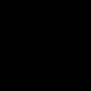 Meet your Posher, Paulina