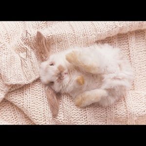 Meet your Posher, Klaudia