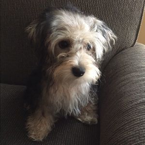 Meet your Posher, Jill