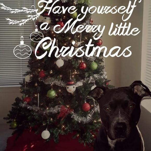 Meet your Posher, Amanda - Picture 1 of 1