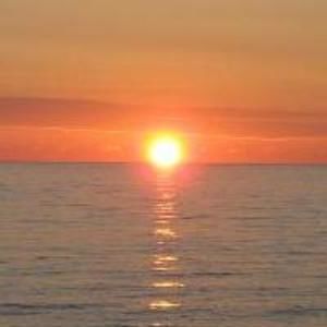 Meet your Posher, Ellen dale