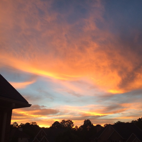 Meet your Posher, Logan - Picture 1 of 1