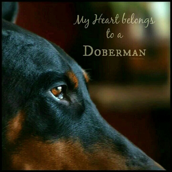 Meet your Posher, Cindy - Picture 1 of 1