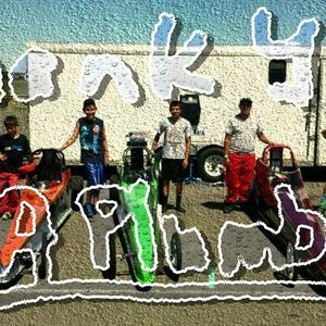 Meet your Posher, Katherine