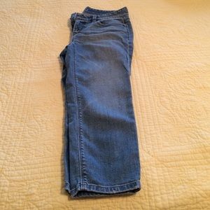 Curvy Crop Petite Loft Jeans