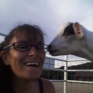 Meet your Posher, Brandy