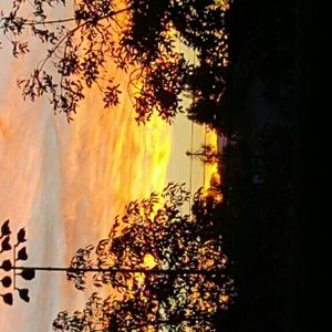 Meet your Posher, Roberto