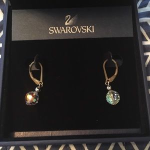 Swarovski Hoop Earrings