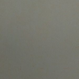 Meet your Posher, Josephine