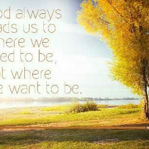 Meet your Posher, Chasity