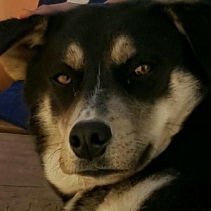 Meet your Posher, Felipe