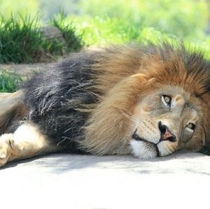 Meet your Posher, Gabina