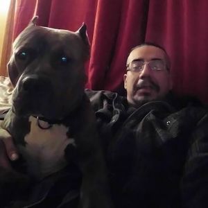 Meet your Posher, Albert