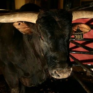 Meet your Posher, Ruben