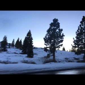 Meet your Posher, Gillian