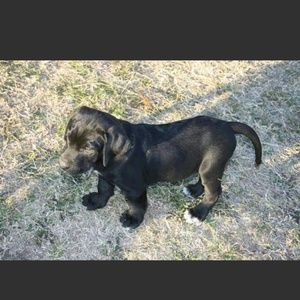 Meet your Posher, Deanna