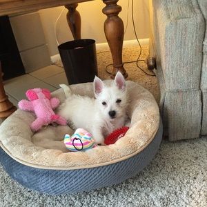 Meet your Posher, Christine