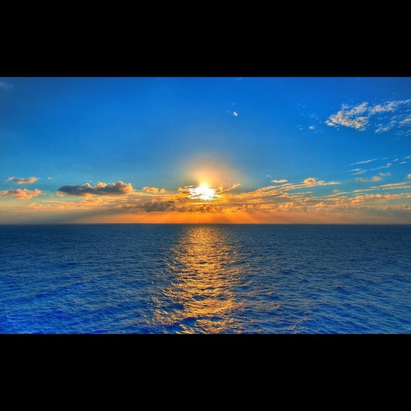 Meet your Posher, Ava