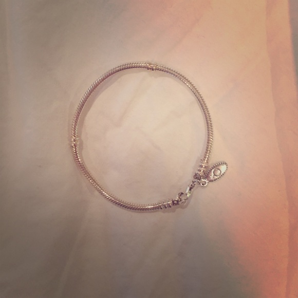 Pandora charm bracelet