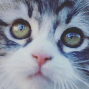 Meet your Posher, Becky