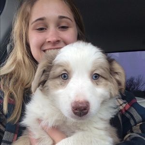 Meet your Posher, Sadie