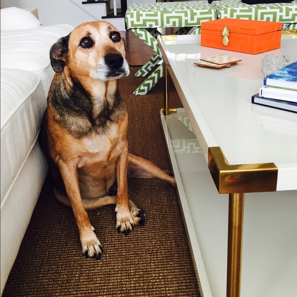 Meet your Posher, Amy - Picture 3 of 3