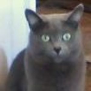 Meet your Posher, Judy