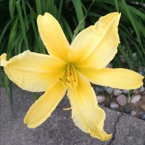 Meet your Posher, Sylvia