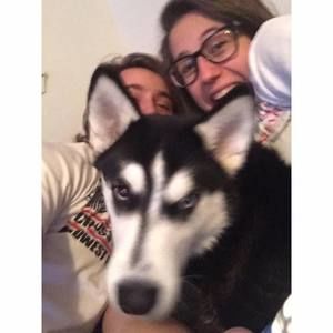 Meet your Posher, Maddie