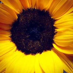 Meet your Posher, Kaleigh