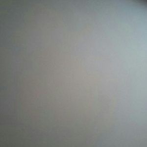 Meet your Posher, Wesley