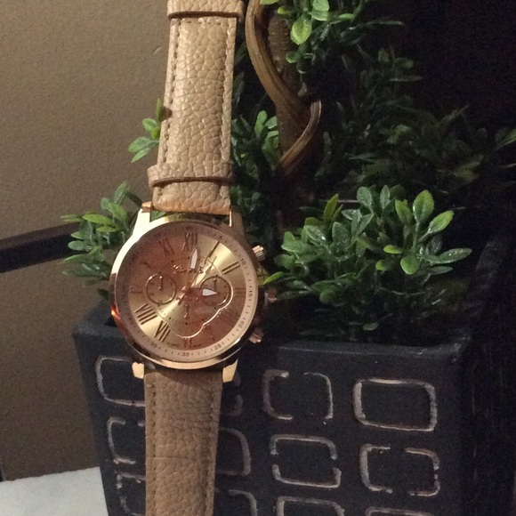 Geneva Roman Numeral Watch!