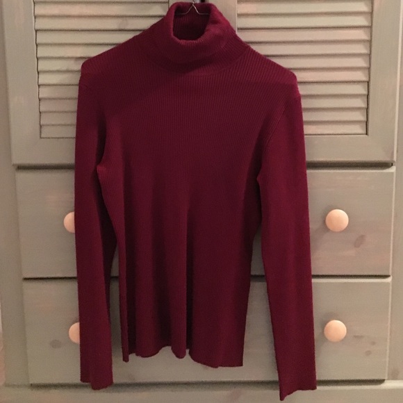 Fitted turtleneck