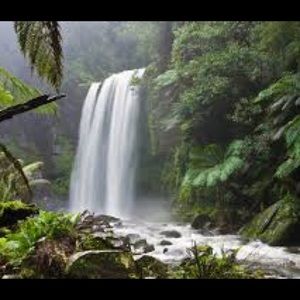 Meet your Posher, Marian