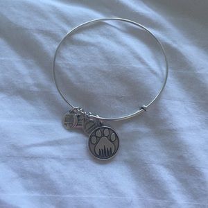Alex and Ani bangle bracelet.