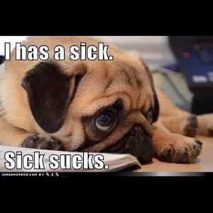 Meet your Posher, Reyna