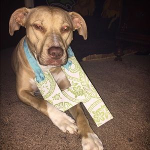 Meet your Posher, Suzy