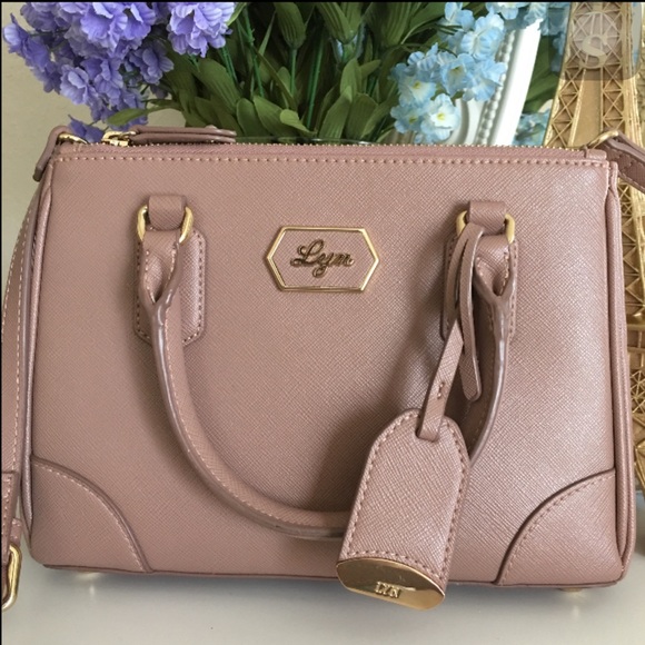 Lyn mini bag totes.
