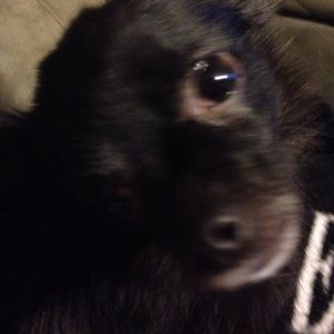 Meet your Posher, Gina