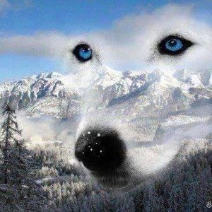 Meet your Posher, Lynn