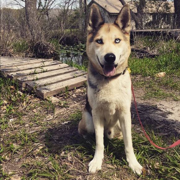 🌻The seller🌸 - Picture 3 of 6