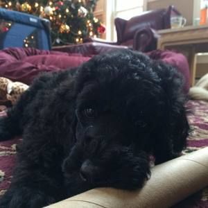 Meet your Posher, Jacklyn