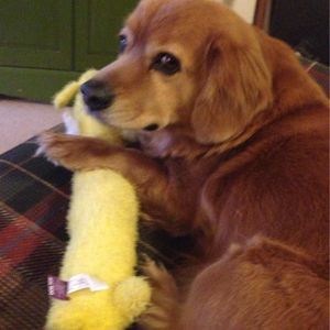 Meet your Posher, Mary anne