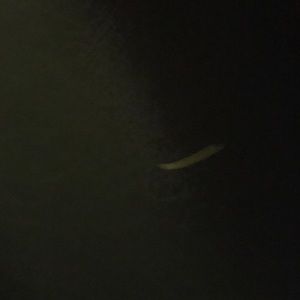 Meet your Posher, Jace