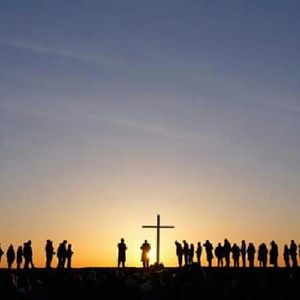 Meet your Posher, Darcella