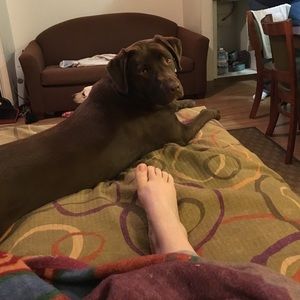 Meet your Posher, Mary